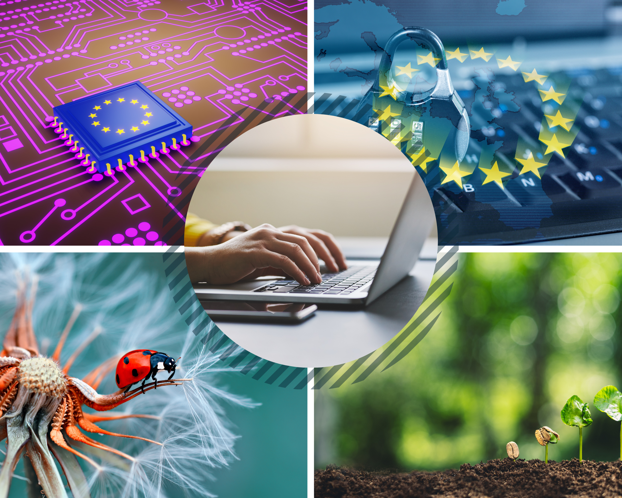 A photo collage about digital and environmental topics. (Adobe Stock)